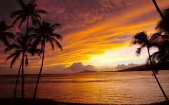 Honolulu Hotels